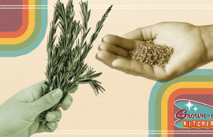 Làm thế nào (và khi nào) sử dụng Fresh Vs. Các loại thảo mộc khô trong nấu ăn của bạn