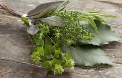 Mang theo một bó thảo mộc đến bữa tối Lễ tạ ơn