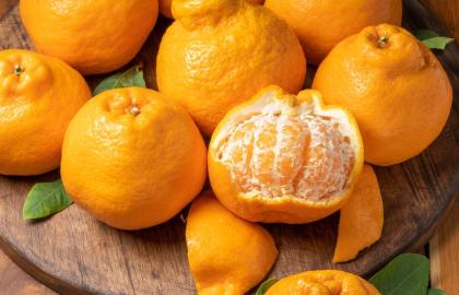 Đông lạnh loại trái cây có múi lạ mắt này trước khi mùa kết thúc