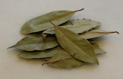 Lá nguyệt quế có làm được gì không?