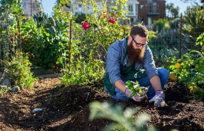 'Hữu cơ' thực sự có nghĩa là gì