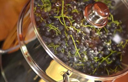 Mọi người làm vườn nên có một máy ép trái cây bằng hơi nước