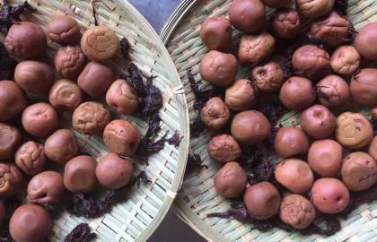 Hai cách để làm Umeboshi, món mận ngâm mà bạn sẽ muốn thêm vào mọi thứ