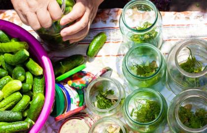 Mọi thứ bạn cần để bắt đầu đóng hộp dưa chua, mứt và hơn thế nữa