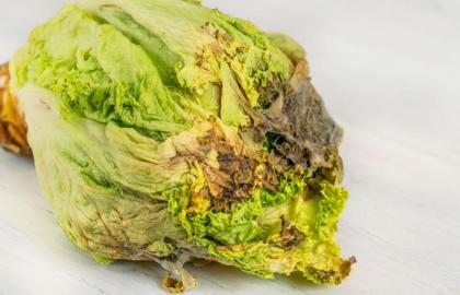 Khi nào bạn có thể cứu sản phẩm bị hư hỏng một phần (và khi nào nên vứt nó đi)