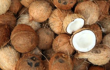 Những cách tốt nhất để mở một quả dừa tại nhà