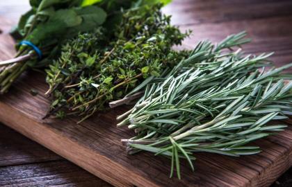 Cách tốt nhất để chăm sóc khu vườn thảo mộc của bạn là thực sự sử dụng chúng